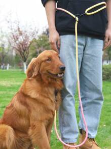 Supet 1pc Colorful Outdoor Multifunctional Dog Leash For Small, Medium & Large Breeds With Round Rope Handle