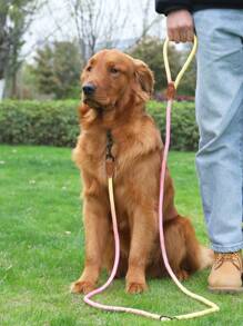 Supet 1pc Colorful Outdoor Multifunctional Dog Leash For Small, Medium & Large Breeds With Round Rope Handle