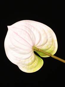 1pc Polyester Artificial Plant, Modern Artificial Leaf Branch For Home Decor - White - View 4