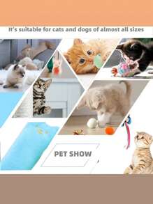 12pcs/Set Cat Toys Assorted, Feather Wand With Bell, Retractable Fishing Rod Replacement Handles, Random Colors