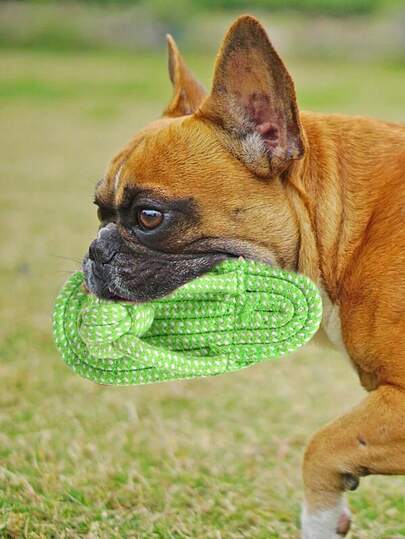 1入組打結設計寵物磨牙玩具適用於狗狗和貓適用於磨牙