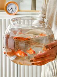 1入組透明迷你魚缸適用於魚適用於活 - 無色 - 查看 7