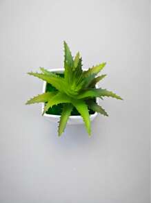 Cây Nhân Tạo Bằng Nhựa Cây Mọng Nước, Cây Giả Trang Trí Nhà Và Tiệc - màu xanh lá - Xem 3