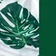 Màu xanh lá cây đậm