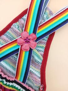 1件可调节条纹宠物生理裤，可重复使用和水洗 - 彩色 - 查看 5