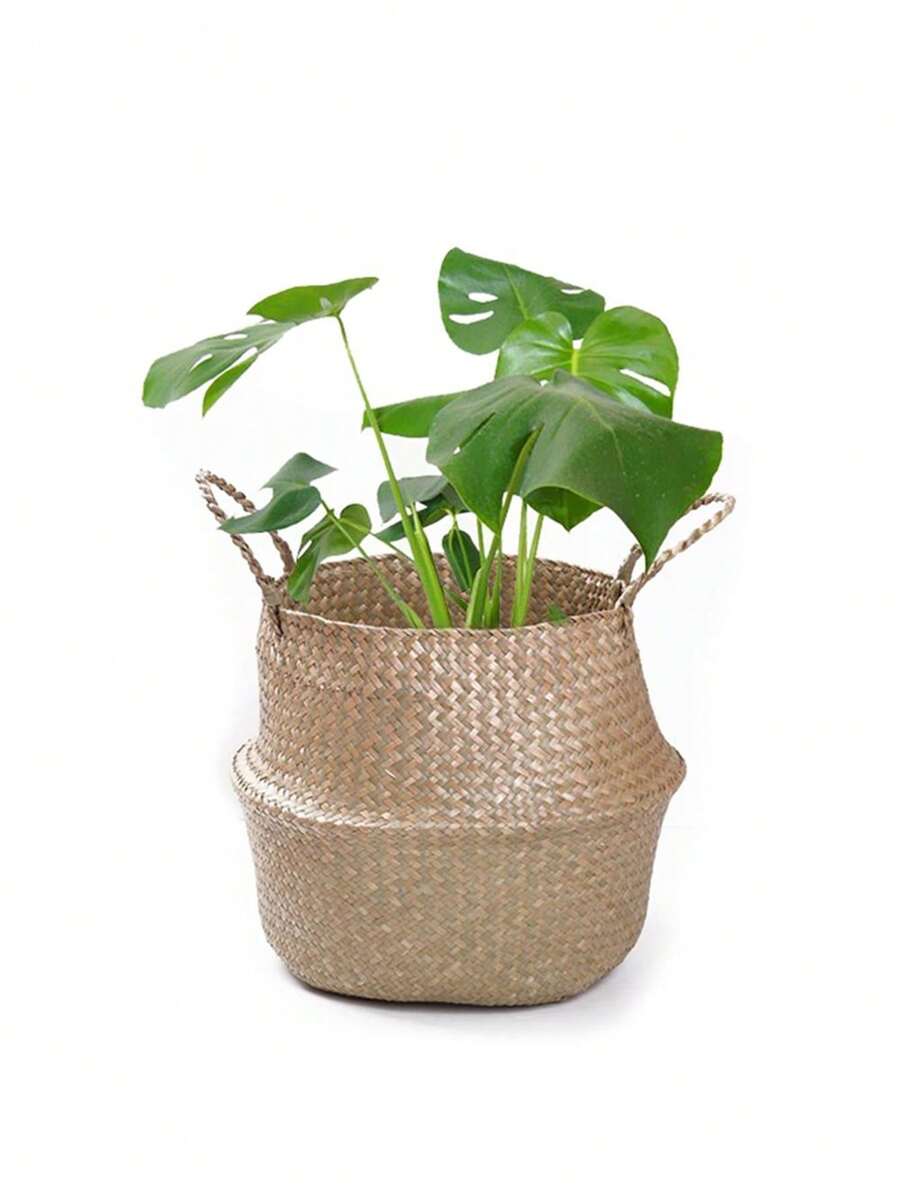 1 pieza Maceta de ratán con asa, maceta de planta de albaricoque moderna para el jardín - Albaricoque - Ver 1