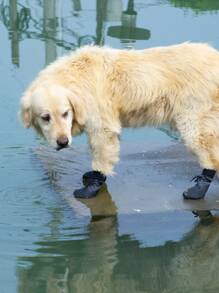 4入組透氣寵物鞋子適用於狗狗和貓適用於戶外