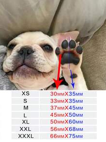 4入組透氣寵物鞋子適用於狗狗和貓適用於戶外