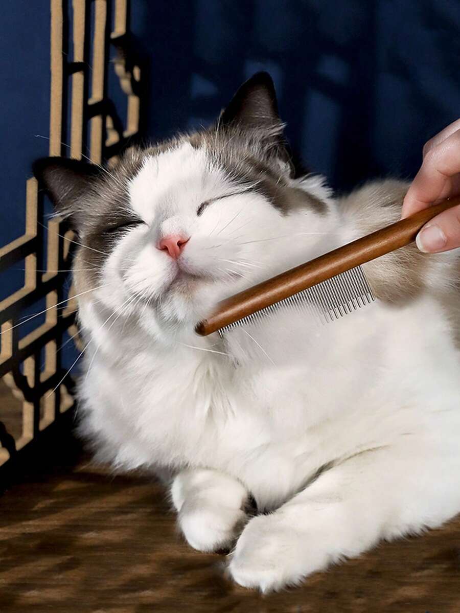 1 lược chải lông thú cưng bằng tre cho chó và mèo để chải lông - màu nâu - Xem 1