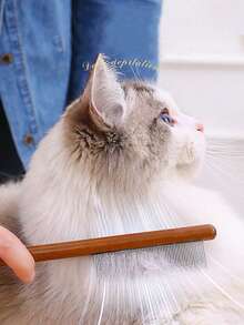 1 lược chải lông thú cưng bằng tre cho chó và mèo để chải lông - màu nâu - Xem 2
