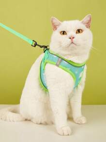 1入組反光寵物背帶和1入組寵物牽引繩適用於狗狗適用於戶外 - 藍色 - 查看 1