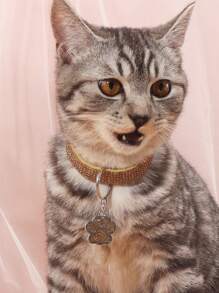 1pc Fashionable & Elegant Pet Paw Print Pendant Necklace With Rhinestones, Suitable For Cats And Dogs To Wear At Home And Outdoors, Can Be Used As Pet Accessories - Yellow - View 3
