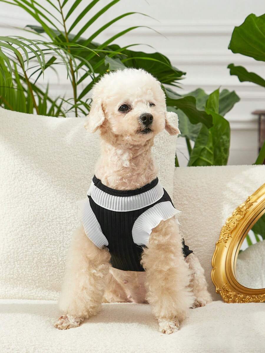 PETSIN 1入組撞色裝訂寵物背心優雅復古羅紋針織寵物背心適用於寵物 - 黑與白 - 查看 1