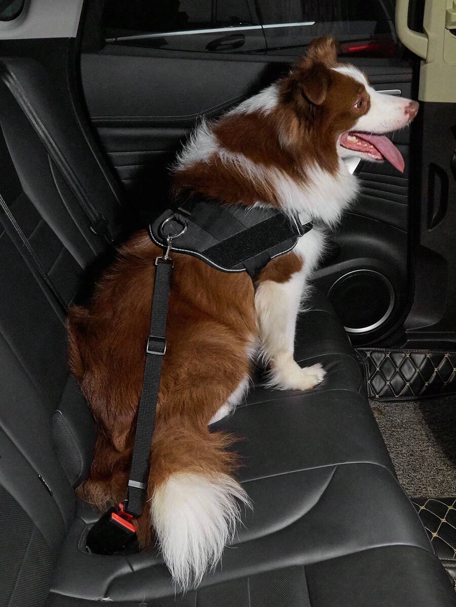 1pc Solid Color Pet Car Seat Belt For Dog And Cat For Safety - Black - View 1