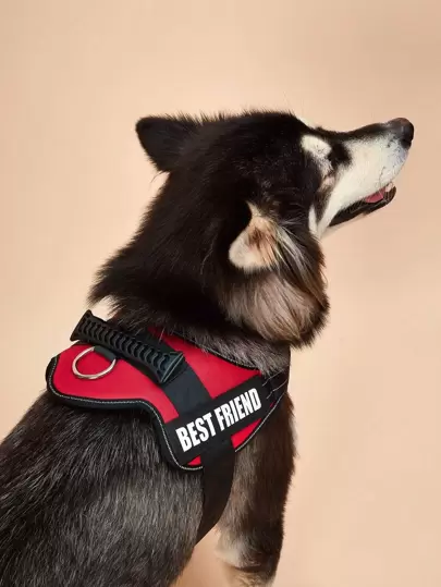 1件紅色防爆發亮條寵物背心帶,適合小型/中型/大型品種,適合戶外散步和訓練