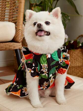 1入組花朵圖案寵物連衣裙適用於狗狗和貓適合夏天