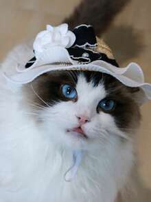 1 pieza Sombrero de paja para mascota con diseño de flor para perro con gato para diariamente - Blanco - Ver 5