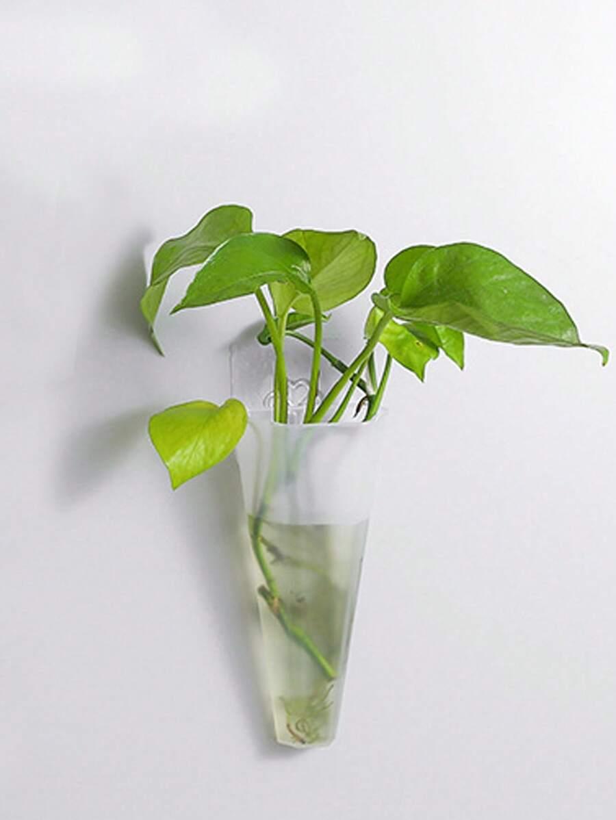 hộp đựng cây treo tường không có cây - Trong sáng - Xem 1