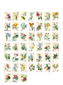 45入組花朵印花隨機貼紙 - 彩色 - 查看 3