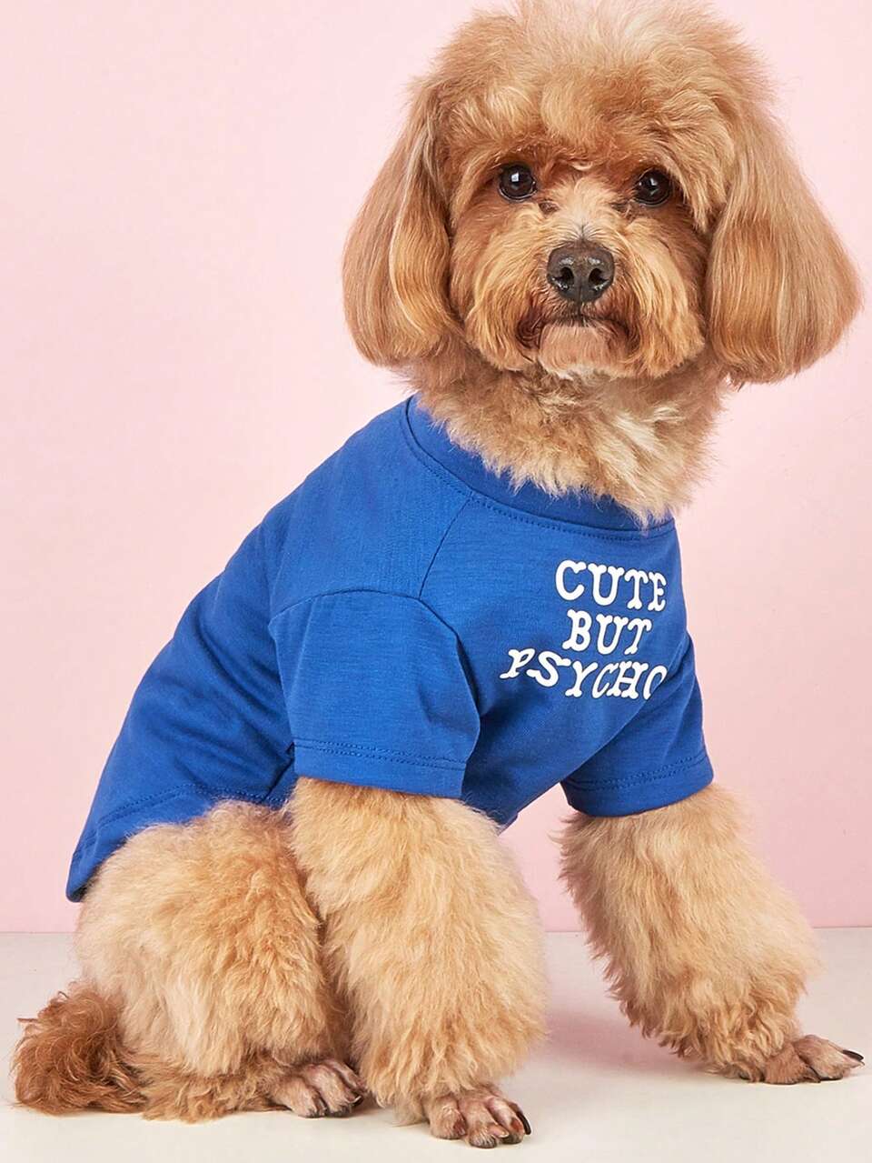 Lightweight Blue Pet Clothing Suitable For Cats And Dogs, Letter Print Crew Neck T-Shirt Design, Suitable For Small Cats And French Bulldogs. Very Suitable For Wearing At Home Or Outdoors In Spring, Summer, And Autumn, Making Your Pet More Happy. (This Product Size Is Small, It Is Recommended To Buy 1-2 Sizes Larger)