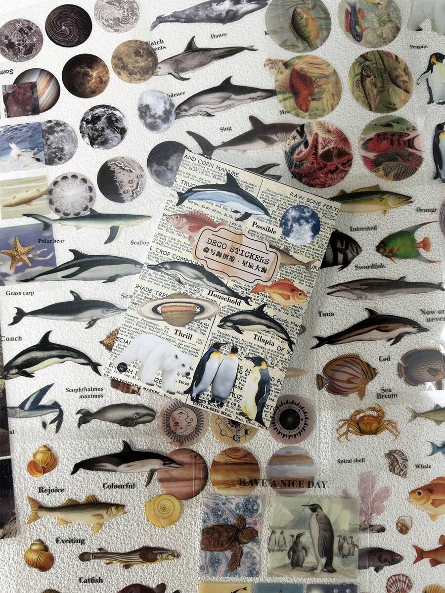 20 piezas Calcomanía con patrón de vida marina clasificado moderno para estudiantes - Multicolor - Ver 1