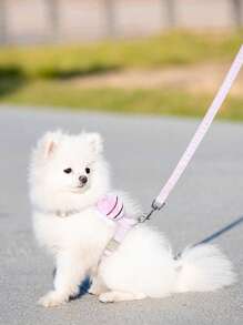 2pcs Bee Decor Pet Harness & Pet Leash Set For Dog And Cat For Outdoor