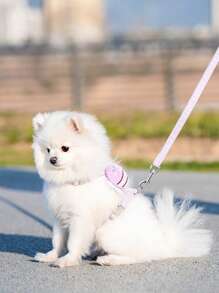 2pcs Bee Decor Pet Harness & Pet Leash Set For Dog And Cat For Outdoor