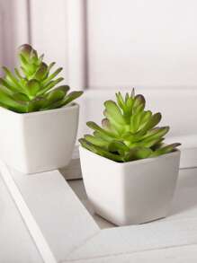 1 chậu cây mọng nước mô phỏng ánh trăng mini - Thích hợp cho nhà ở, khách sạn, quầy lễ tân, bệ cửa sổ, nhà bếp và trang trí tiệc cưới và tiệc tắm, cây giả, đồ trang trí mùa thu, phòng, bàn làm việc, đồ trang trí sân vườn, đồ trang trí phòng, ngày lễ tình nhân, quà tặng - màu xanh lá - Xem 1