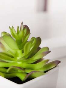 1 chậu cây mọng nước mô phỏng ánh trăng mini - Thích hợp cho nhà ở, khách sạn, quầy lễ tân, bệ cửa sổ, nhà bếp và trang trí tiệc cưới và tiệc tắm, cây giả, đồ trang trí mùa thu, phòng, bàn làm việc, đồ trang trí sân vườn, đồ trang trí phòng, ngày lễ tình nhân, quà tặng - màu xanh lá - Xem 2