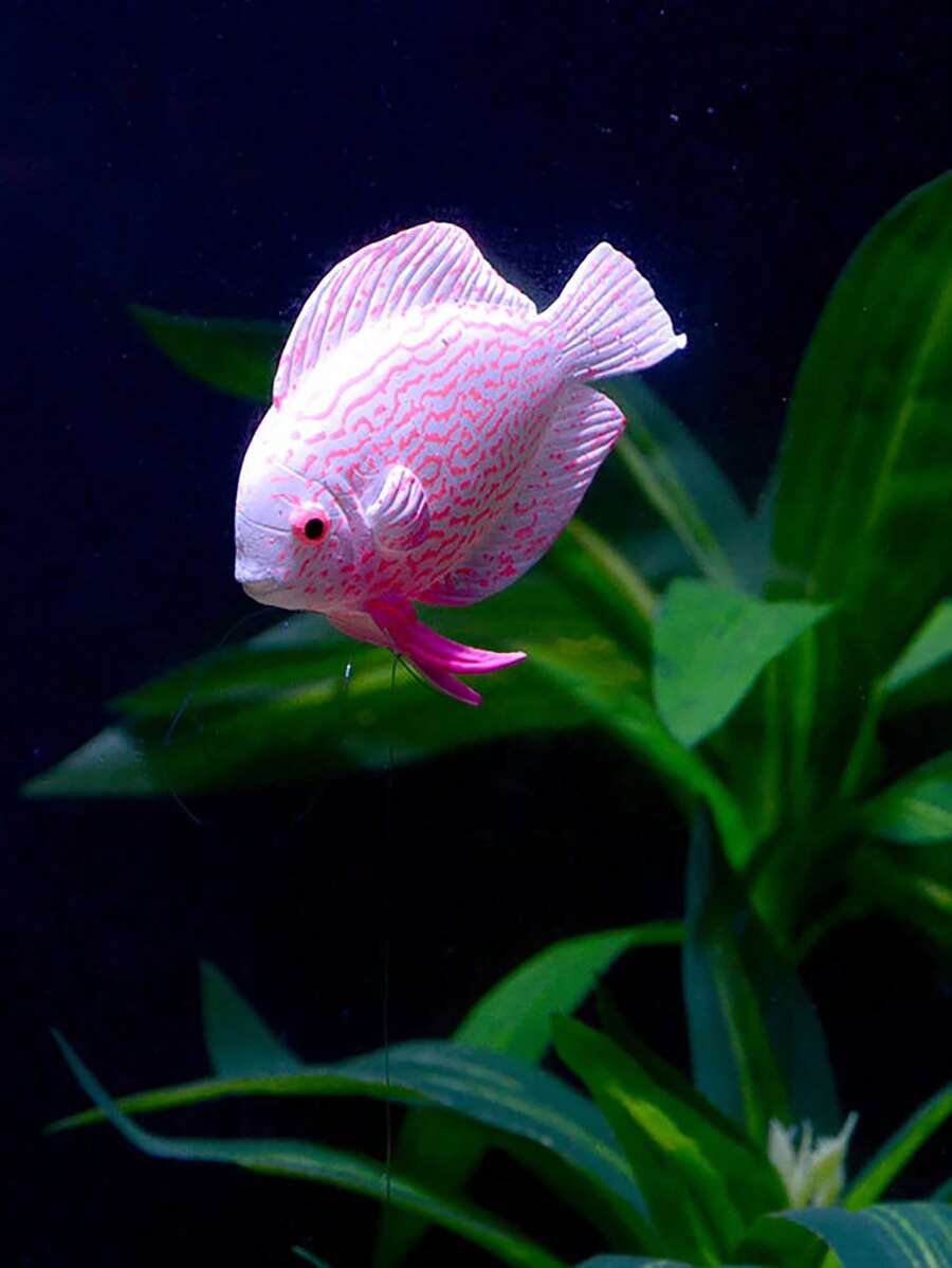 1入組魚設計裝飾物適用於水族館適用於裝飾用品 - 粉色 - 查看 1