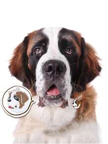 1 pieza de acero inoxidable perro diseño Identificador para mascotas para perro para Decoración - Multicolor - Ver 3