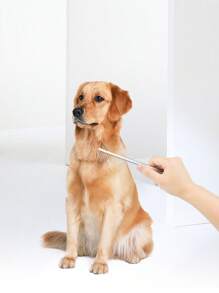 1 pieza de acero inoxidable Removedor de pelo para mascotas Peine para perro con gato para aseo - Negro - Ver 2