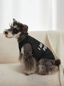 PETSIN 1入組字母圖案寵物背心適用於狗狗和貓適合夏天 - 彩色 - 查看 3