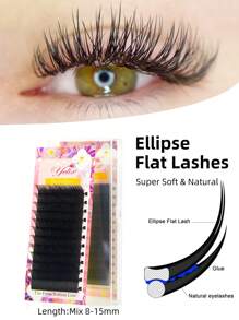 1盒黑色椭圆扁平单根假睫毛 12排超柔软睫毛 适合化妆 8-15毫米混合长度睫毛簇、睫毛簇、单根睫毛、睫毛、假睫毛