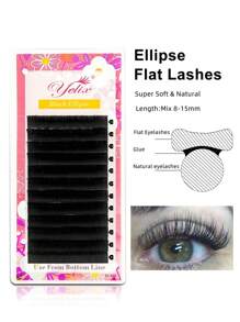 1盒黑色椭圆扁平单根假睫毛 12排超柔软睫毛 适合化妆 8-15毫米混合长度睫毛簇、睫毛簇、单根睫毛、睫毛、假睫毛