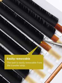 12 Rows 13mm Super Soft Double Pointed Flat False Individual Eyelashes - Black - View 5