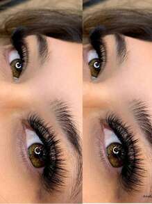 12行數13mm濃密卷翹單根假睫毛 - 黑色 - 查看 6