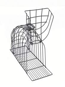 1入組不銹鋼寵物淋浴籠子適用於狗狗和貓適用於全部季節