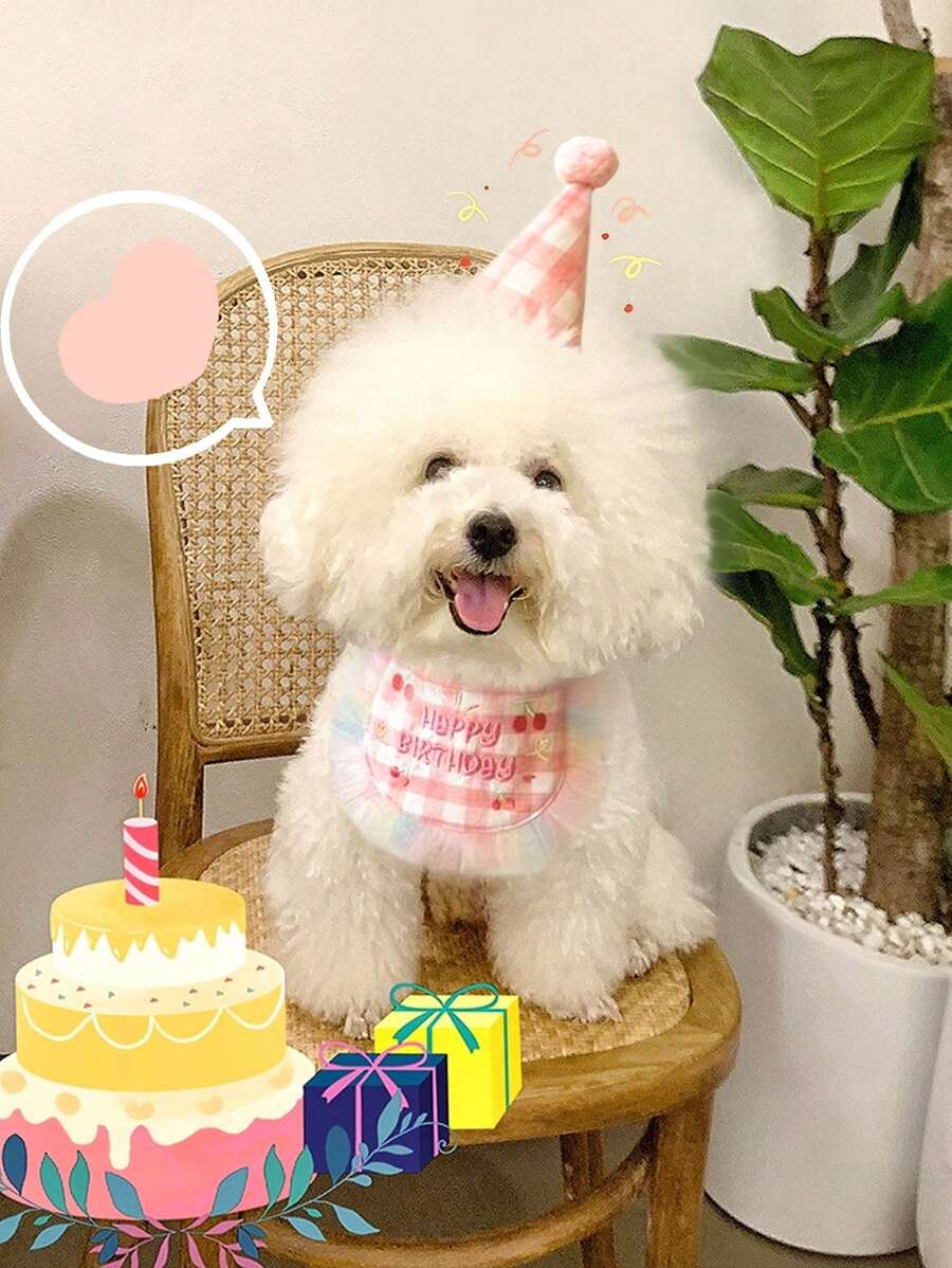 Plaid Lace Pet Birthday Party Scarf + Hat Set, Suitable For Cats & Dogs, Birthday Celebration Gift
