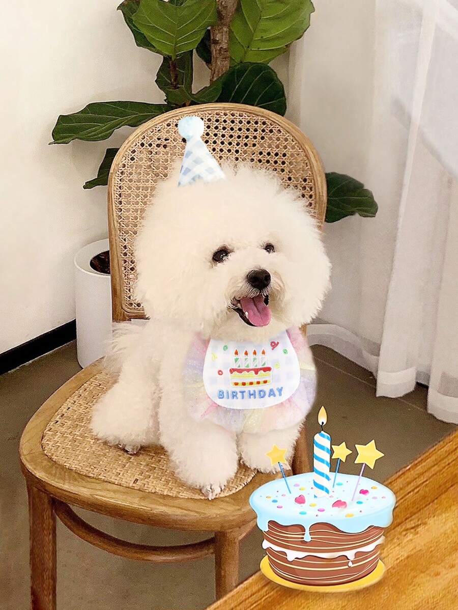 格子蕾丝生日围巾+帽子套装，宠物生日派对套装，适合猫狗，生日庆祝，礼物