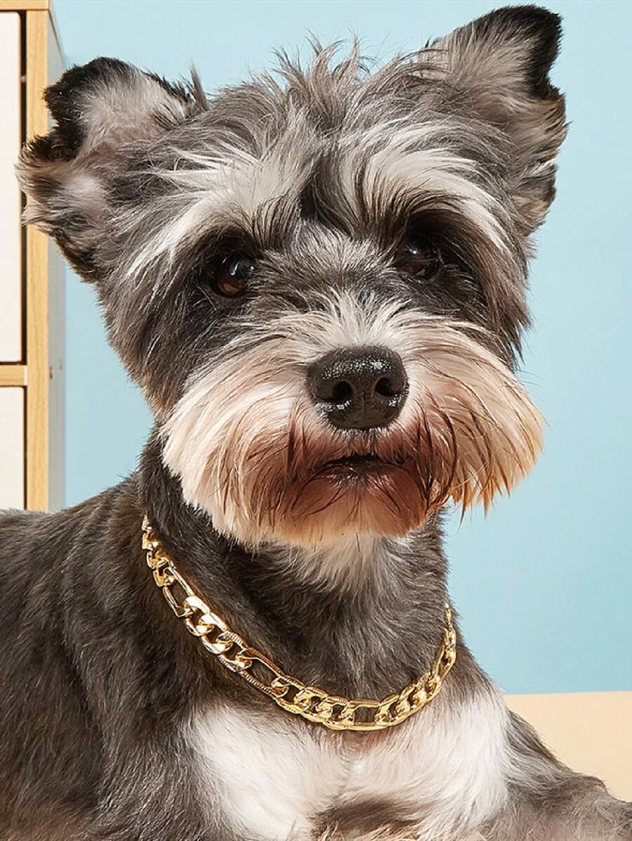 1pc Minimalist Pet Necklace For Dog For Decoration - Gold - View 1