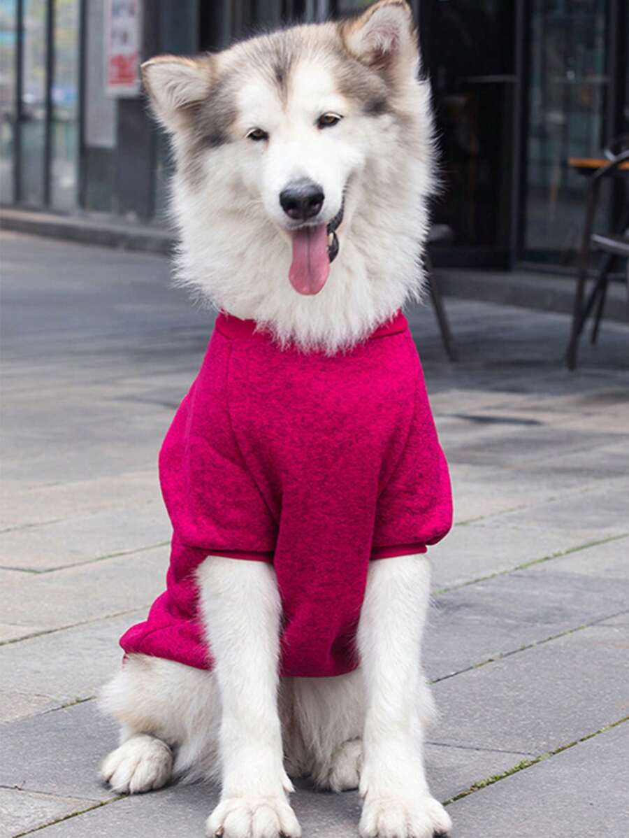 1 chiếc áo thú cưng màu trơn cho chó và mèo cho thời tiết lạnh - Nhiều màu - Xem 1