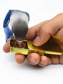 1入組素色鸚鵡盒適用於鳥適用於餐飲 - 金色 - 查看 2