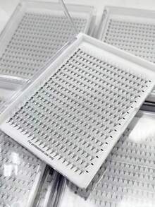 1盒10mm8D朵毛 - 黑色 - 查看 3