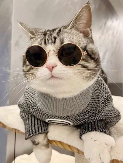 1pc Round Pet Glasses For Dog And Cat For Decoration