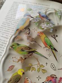 3 miếng dán hình con chim các loại, miếng dán trang trí đa năng sáng tạo cho nghề thủ công DIY, trang trí, tài khoản cầm tay - Nhiều màu - Xem 6