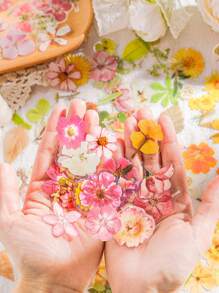 MOCARD 1 caja de 45 piezas de pegatinas de flores de PET para decoración DIY, scrapbooking, diario, teléfono, portátil, útiles escolares estéticos lindos - Morado - Ver 2