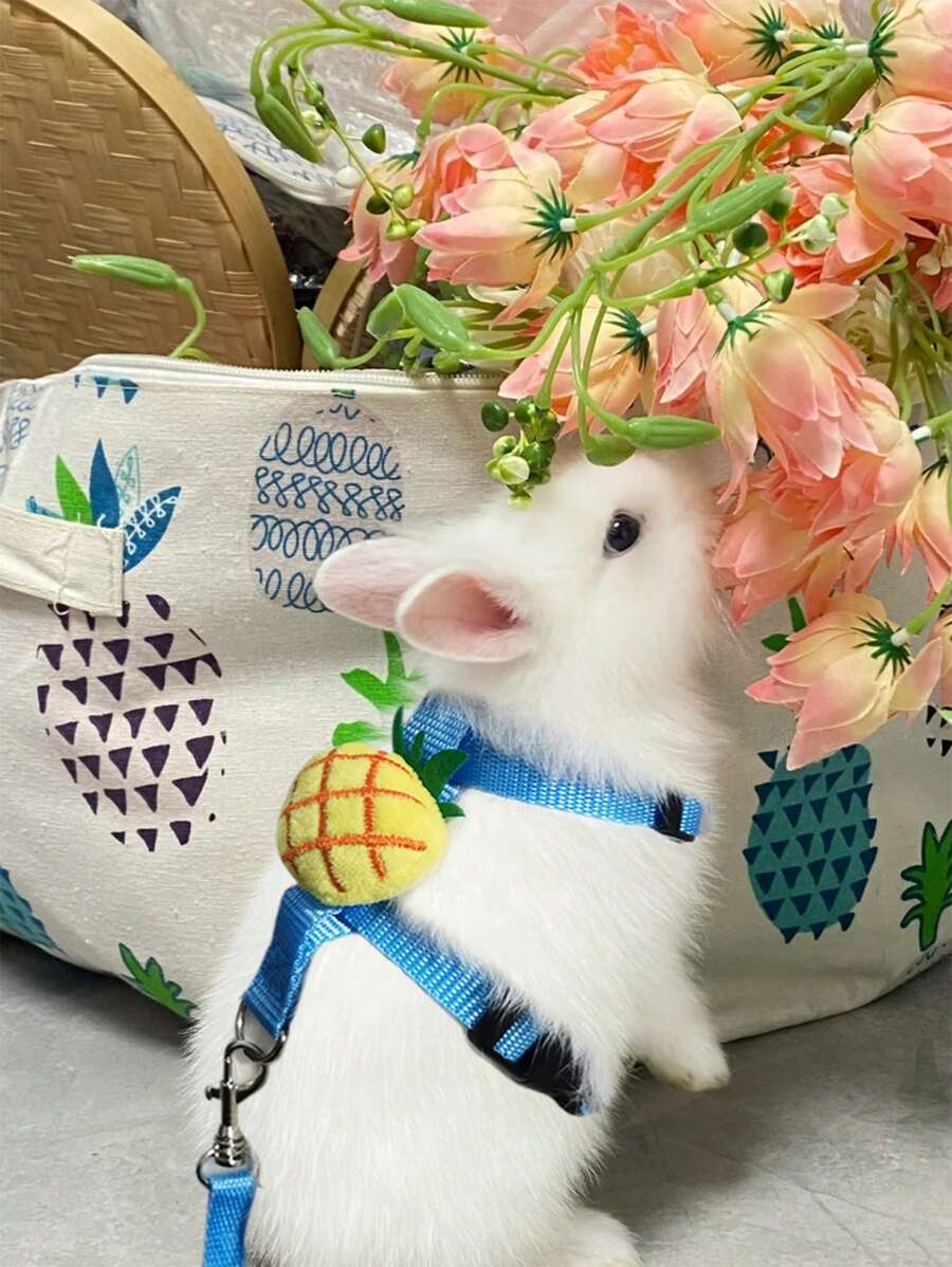 2入組鳳梨設計小寵物牽引繩和束帶套裝 - 彩色 - 查看 1