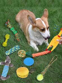 10pcs Pet Chew Toy Set For Dog For Teeth Grinding - Multicolor - View 5