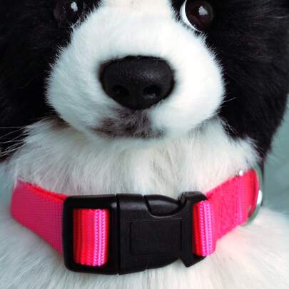 1入組可調節寵物項圈適用於狗狗和貓適用於戶外